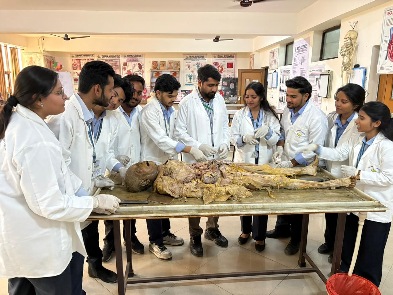 Department of Rachana Sharir - Key area 1